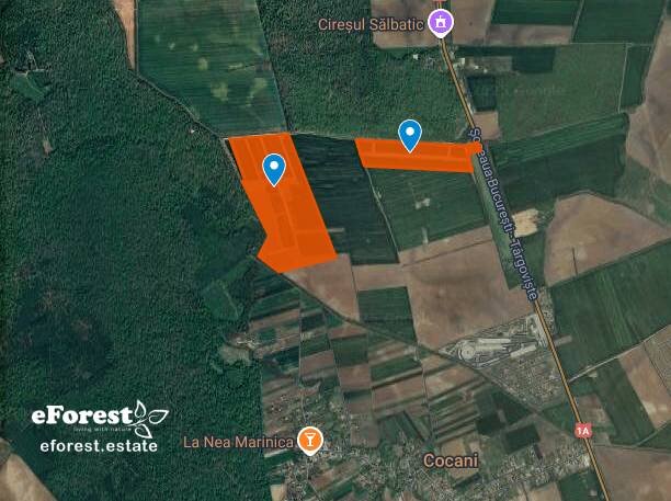 Crevedia, teren premium 800 mp, acces rapid DN1A, cartier nou, Crevedia